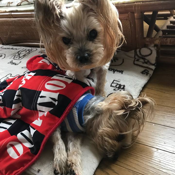 D111da19 149d 4a86 ab7d 64f90c7ceb99 1720692947195