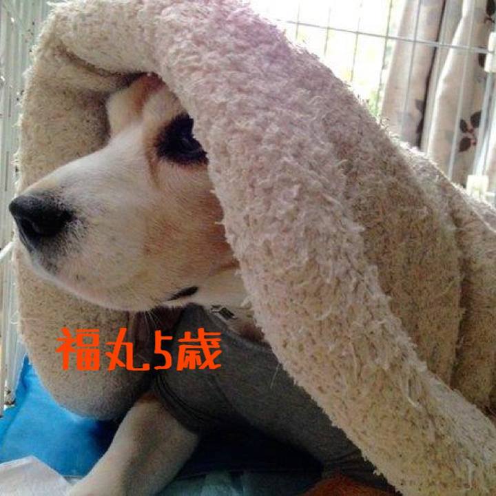 D111e39c 411f 402c b514 052c08e57608 1509519953166