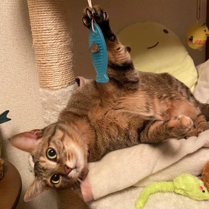 D111ed36 232a 4608 a922 3b77cb4e1022 1643020785908