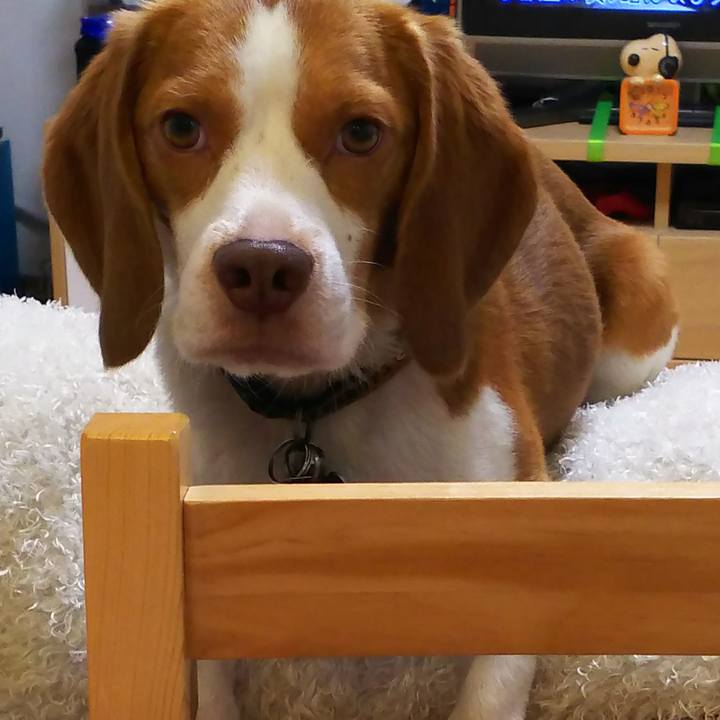 D112135d 3b17 40ec a82c 38c7596b1fe2 1537612766405