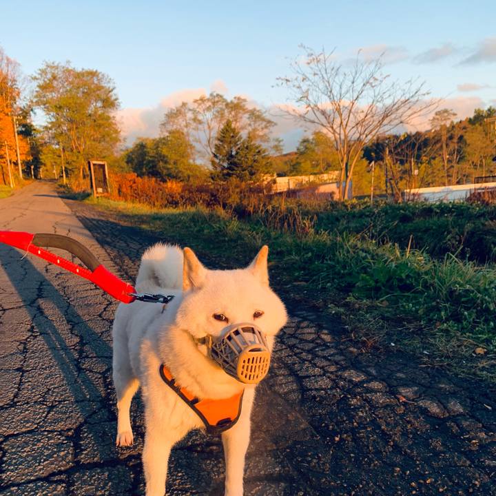 D11245c8 a61d 4b41 98ac 45e44bc18509 1667167207980