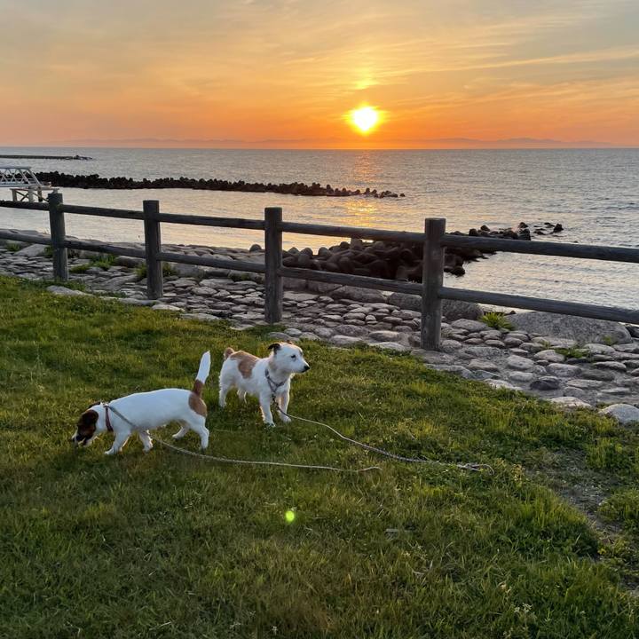 D1126b58 d5eb 4d04 b47f 333bdfab780c 1652178212971