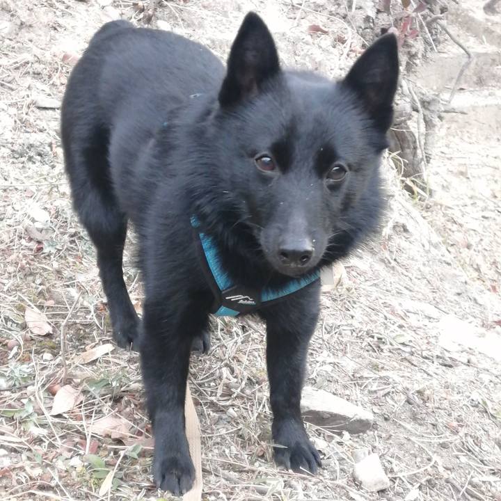 D1127561 5636 41cf 9d4e 156a6c510187 1646085344802