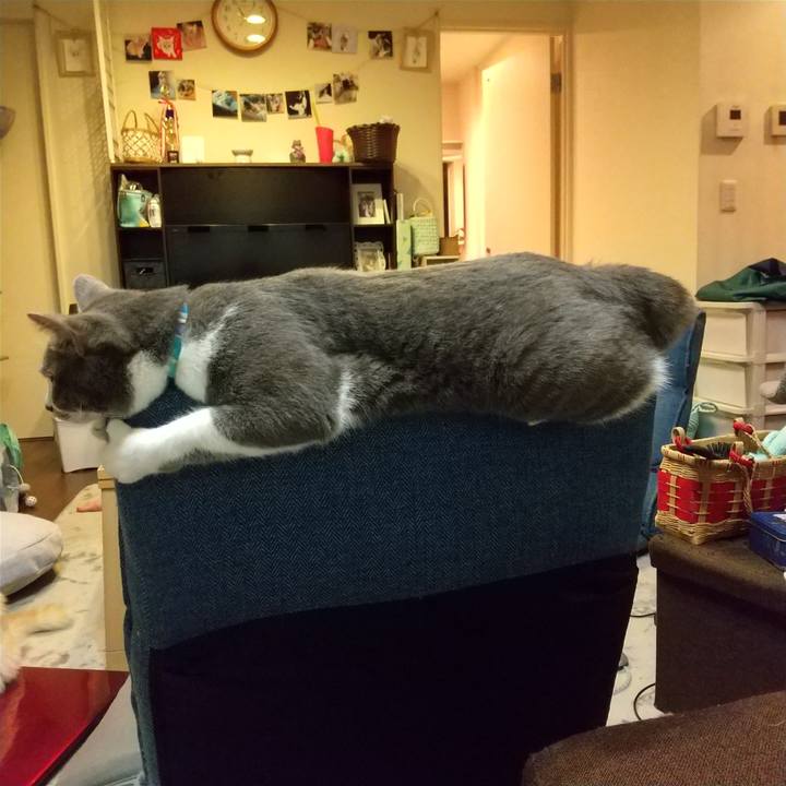 D112b8ce 5a7c 4ac3 a6a4 f36fb4d65f12 1650897179795