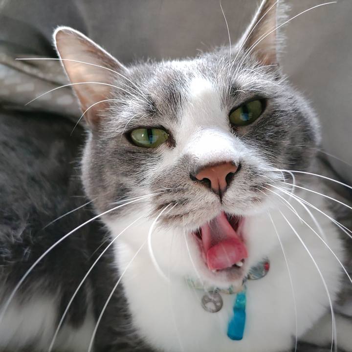 D112c55d 5e0d 4657 9714 18cd49ab4cb8 1707438565602