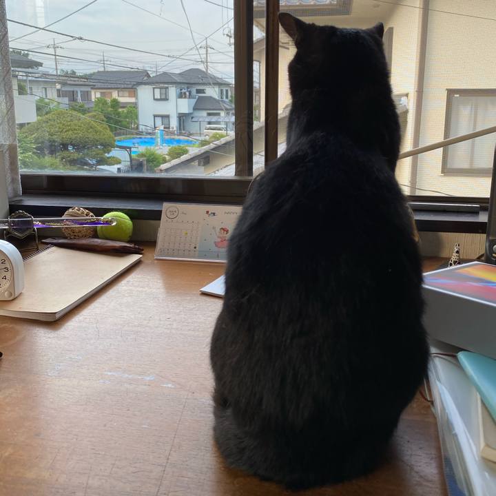 D112eea7 d4d0 44d5 a93b e474de232c41 1589279837723