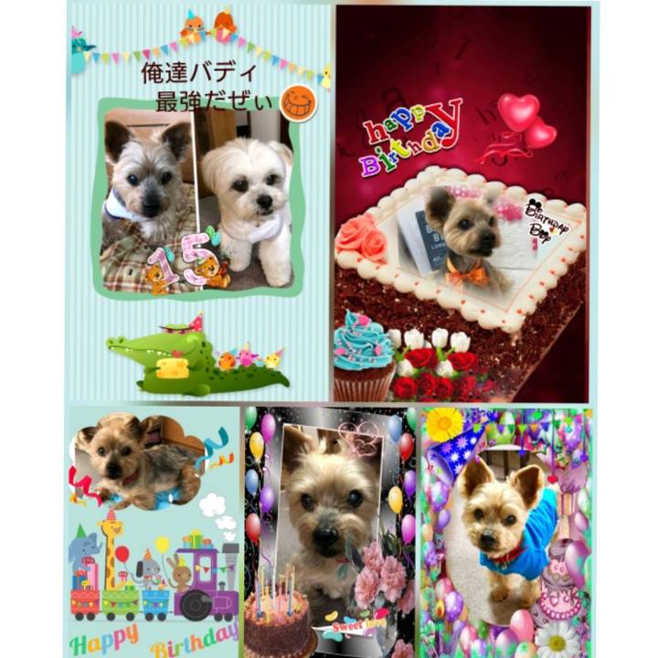 D112f2be 894a 4121 996e 00cfc19b02e6 1532079018481