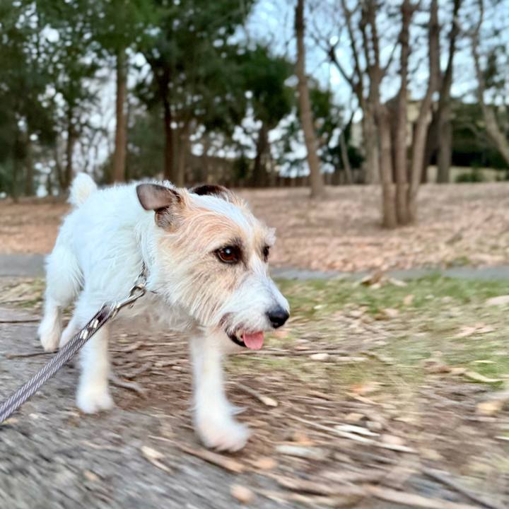 D11307e1 9b9b 44a0 960d 1d23d6c8f0ea 1770324410578