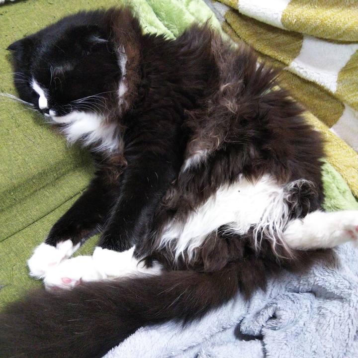 D11318a6 7b8e 4658 bb35 0f31c5228058 1655870033743