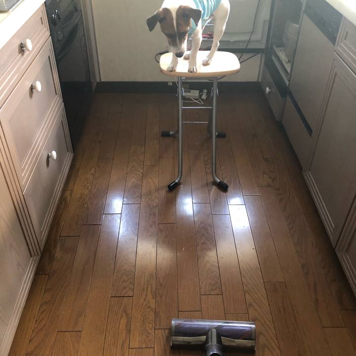 D11323de 34b3 4444 a5f0 ed27e3261265 1566178631062