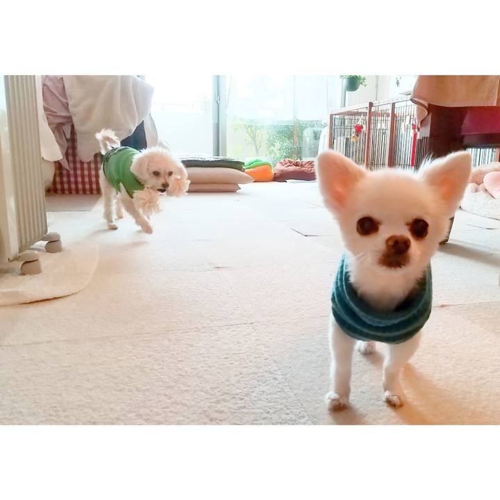 D1132465 9120 4f33 b5cd 0dfff9827f18 1671977062066