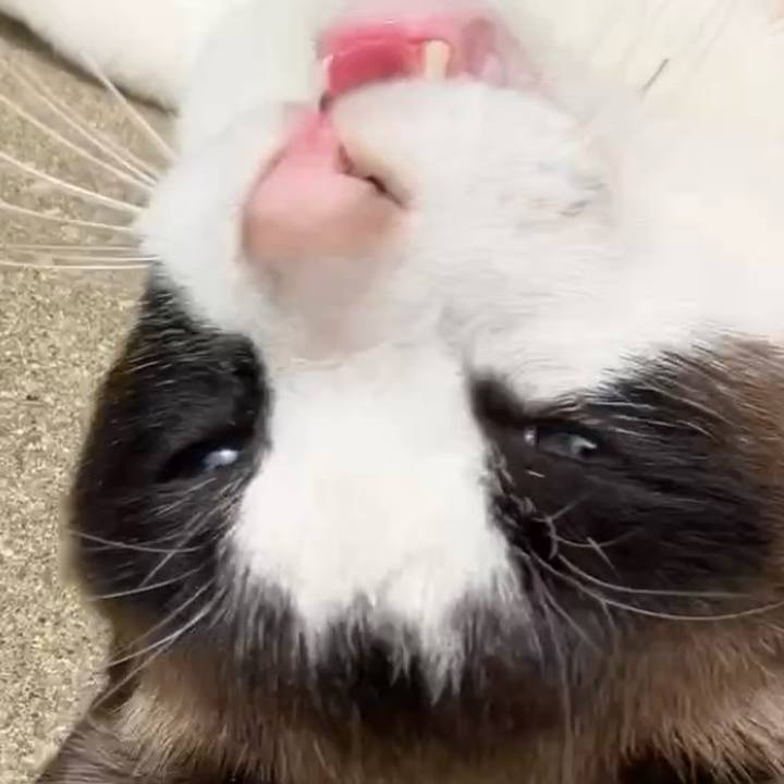 D11357e3 48b7 42da b0da 0debe62d6c0a 1743822705006