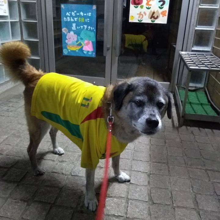 D1135ee2 cd7a 42f1 8a28 e6329517417c 1569148058797