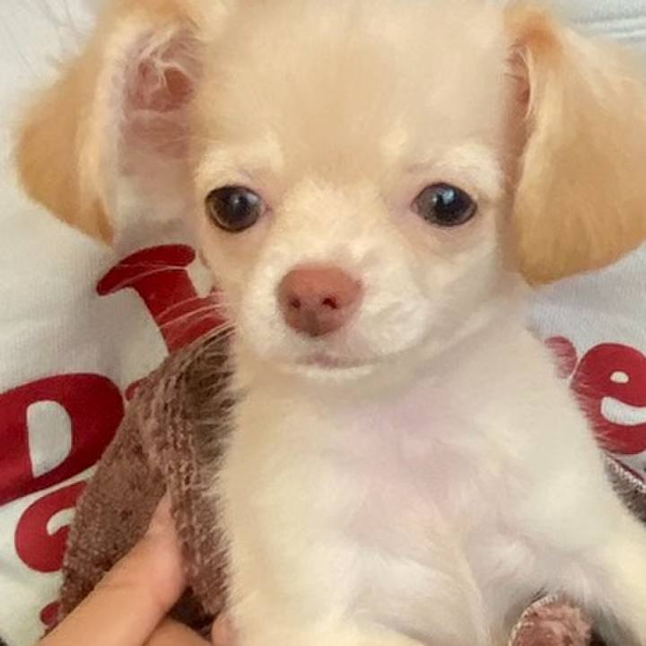 D1136a5b 8b82 496c a962 1ed0e5804f6b 1703249329602