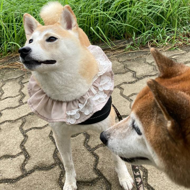 D1138141 5d73 47f8 ad1e c244a78d4310 1727946857999