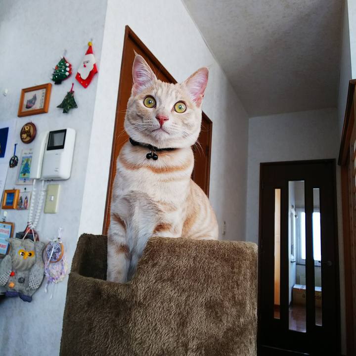 D11386f0 3d55 4f2e 8e83 a8872f0073d3 1550900772995