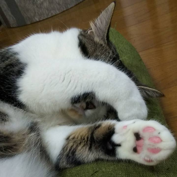 D113b107 80c0 4fe2 b980 6c691bc3452f 1622372608212