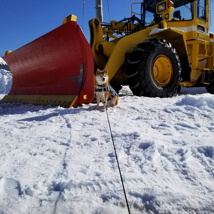 D113cc1c e881 453b b11b 6480a57e5f17 1516008662040