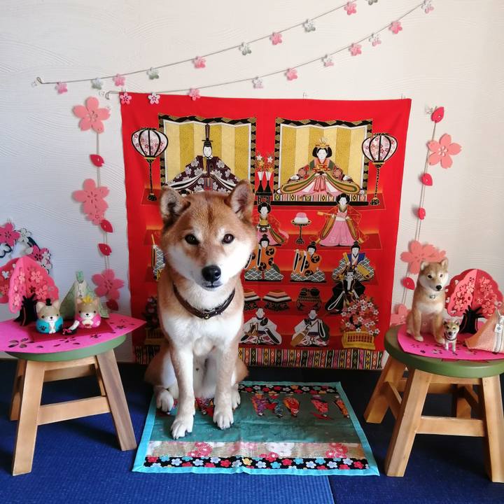 D113cf43 8294 4a2b 9112 a7ac6d1267e4 1583202297089