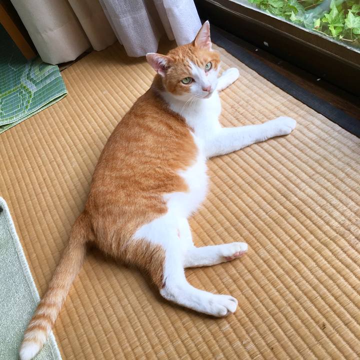 D113dc1b d338 4be6 a5ea f084217aa6da 1567393808899