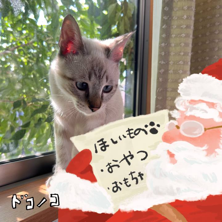 D113ef10 39e6 48f9 962a 0365732a1c7b 1729471220366