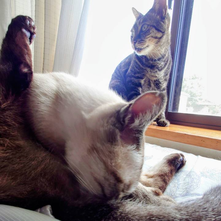 D114590a b710 4c57 81d1 035547feadcc 1758413512908