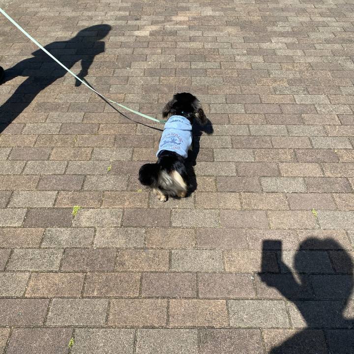 D1146226 c6d2 4180 a6b1 1af5209bc950 1683249936998