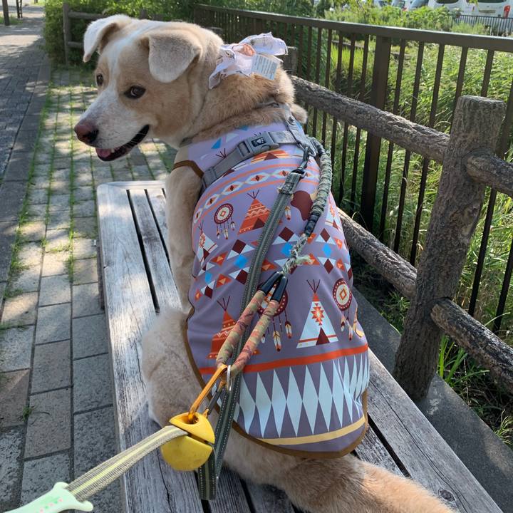 D1146866 bdaf 4a23 bf31 23f7ae1bd828 1566695952295