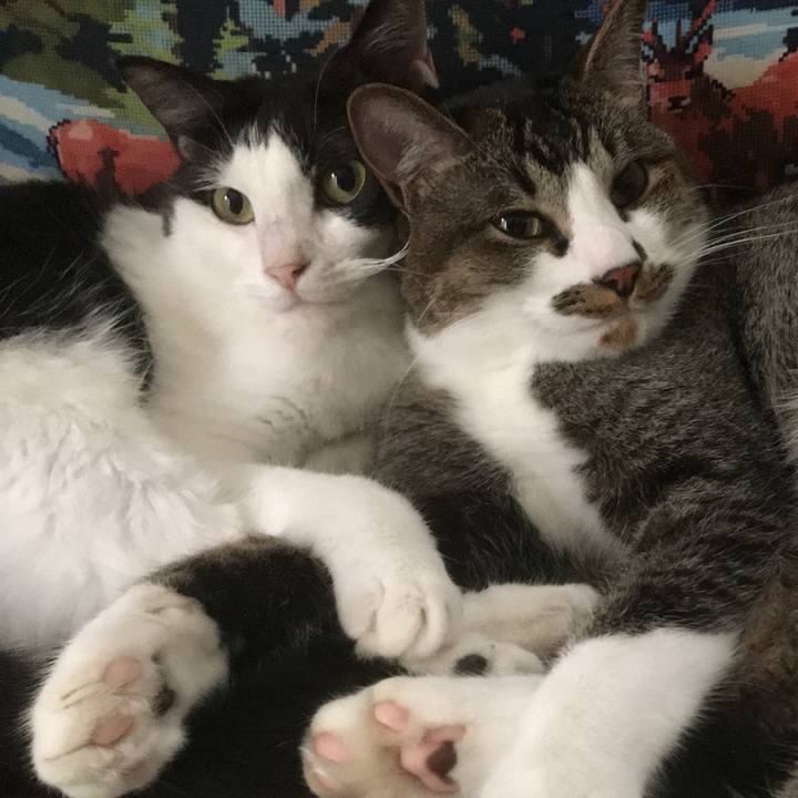 D11484d5 2019 4284 965c 6fa1168d2d7d 1566120082001