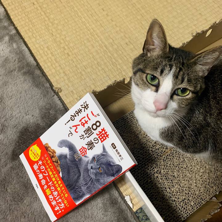 D1148602 7d07 43dc a942 88d7059b67fe 1555766745813