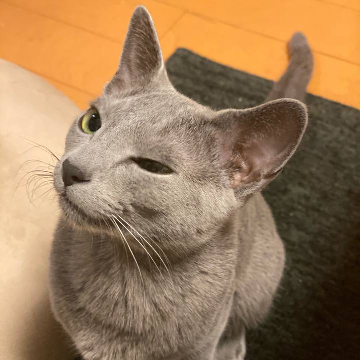 D1149020 846f 4cbc 905e d3aea20cd803 1617361116051