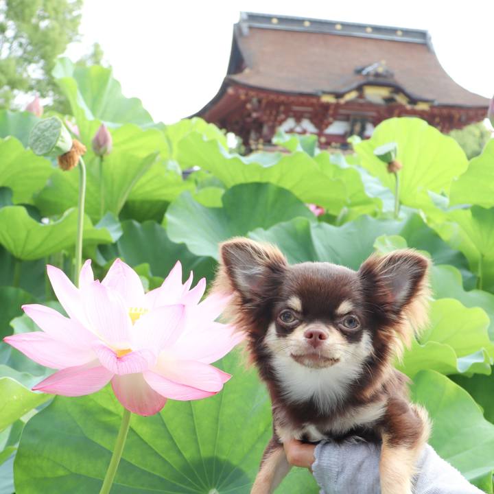 D114924b 843f 464c abd3 3a5381472d89 1752962875302