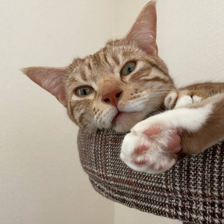 D114aeed 71e3 4456 8038 33f5e450fa37 1626489674384