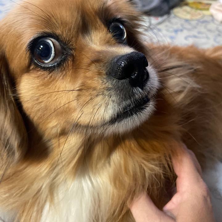 D114b3a3 dbb2 449b bb97 65c7a9b863a0 1666649192227