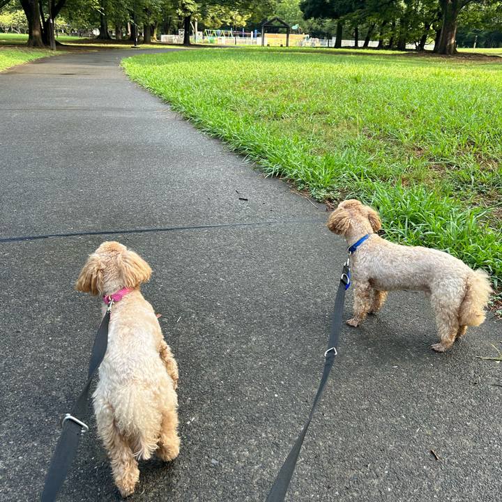 D114cf43 0c85 4cc8 8dff c8f7ade28ec5 1691901051656