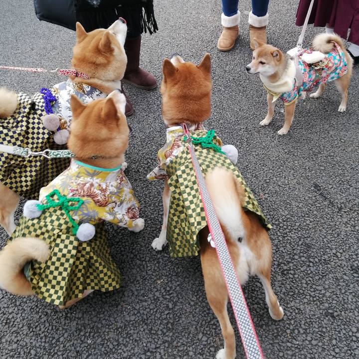 D1150811 4b5d 44c4 a0f6 eeb03381a996 1641797144805