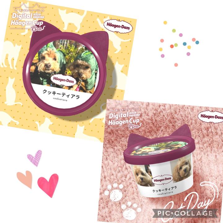 D11527da 7da9 44e9 8a8f 50928aa80446 1708738095575