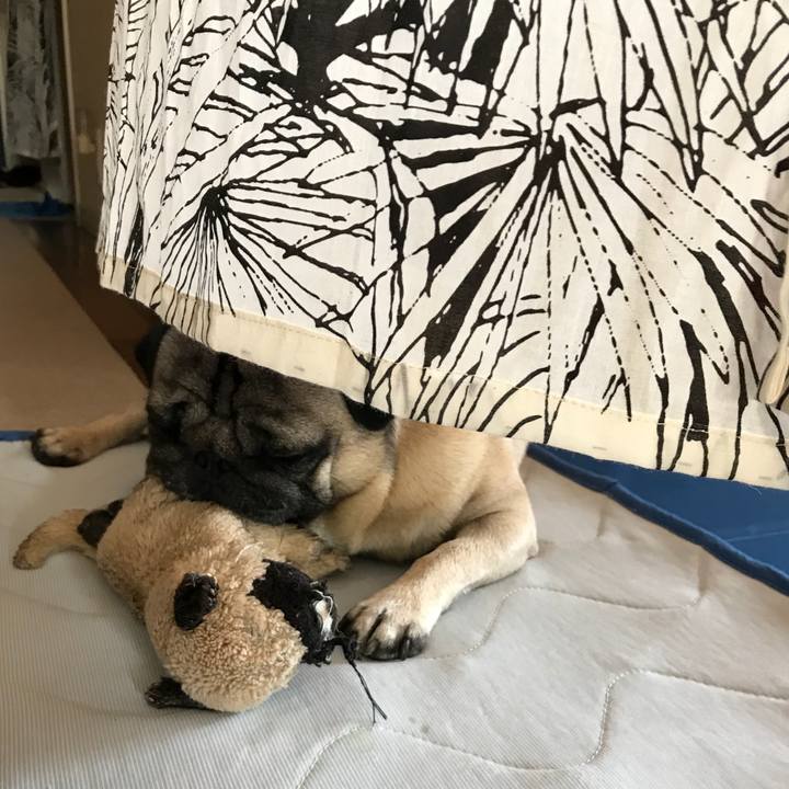 D11543f4 873b 4926 a53a 76f87a7bb8dc 1533190184624