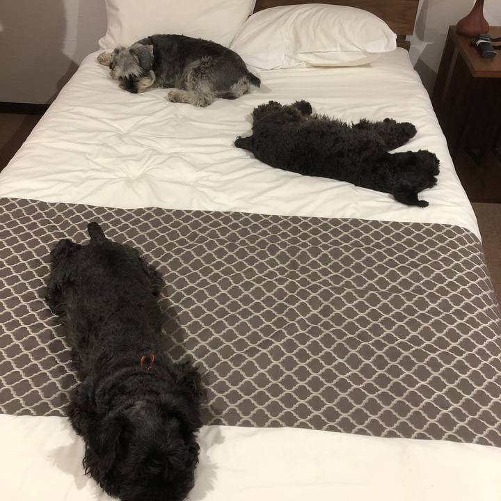 D1154b84 e92a 4888 86f2 c01bfbef4eec 1561126178950