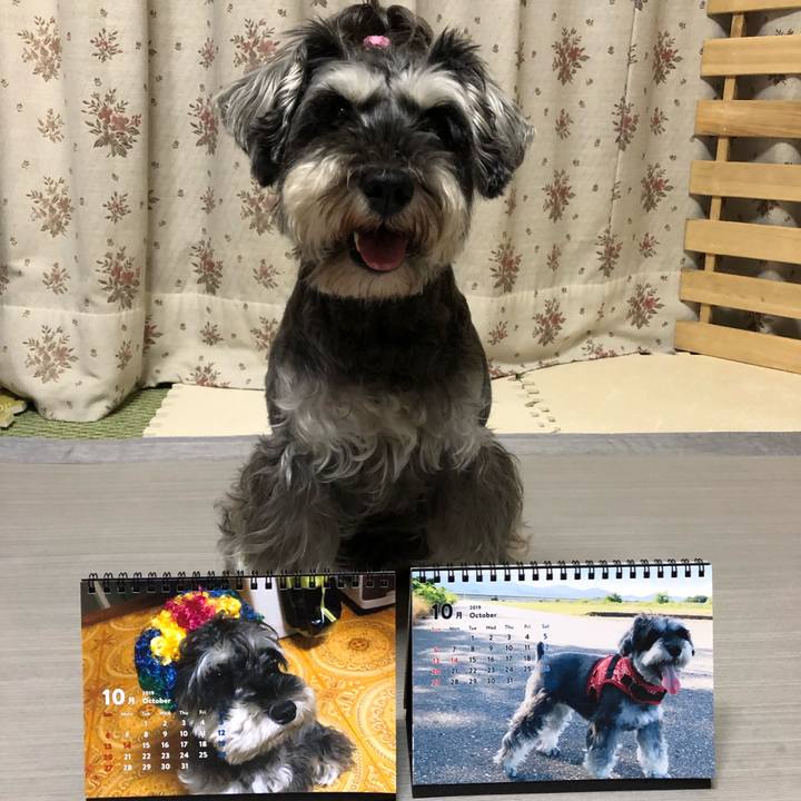 D115624f 3ae1 4333 9de2 62adc5004424 1569928276714