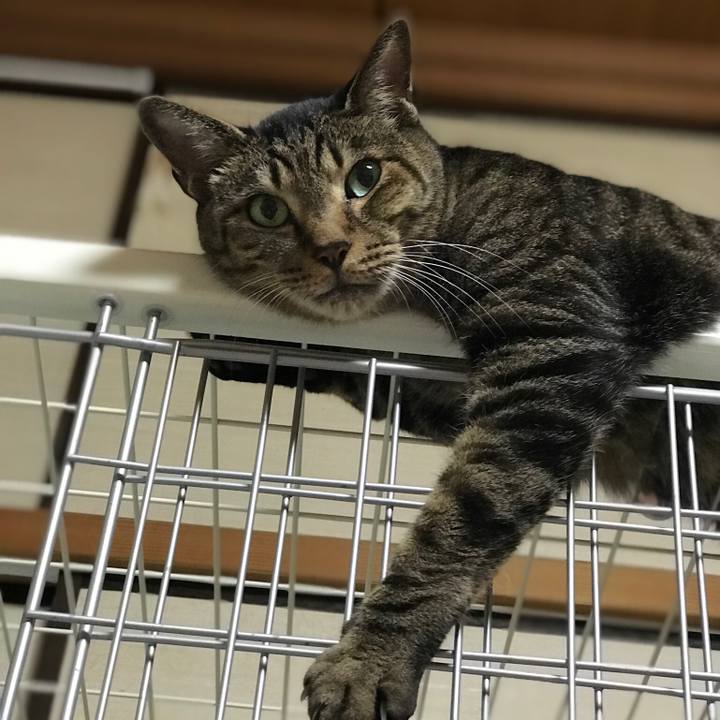 D115917e c861 4f4b 817f 3934a8353c97 1534809574969