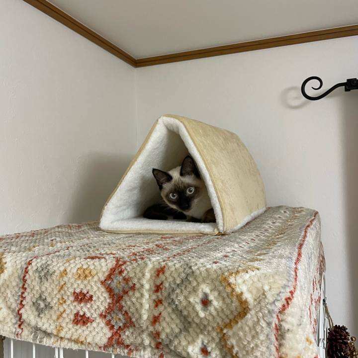 D115b57a a753 49a9 a085 c7f278770aa0 1700682791509