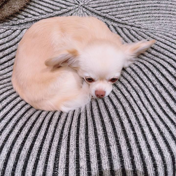 D115e260 25ac 4ff4 b8cf 7edae3aa9800 1703678968437