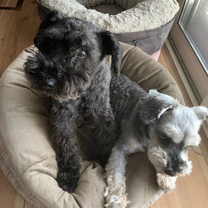 D115f320 e443 46c2 a95e e07e519972e0 1689124513243