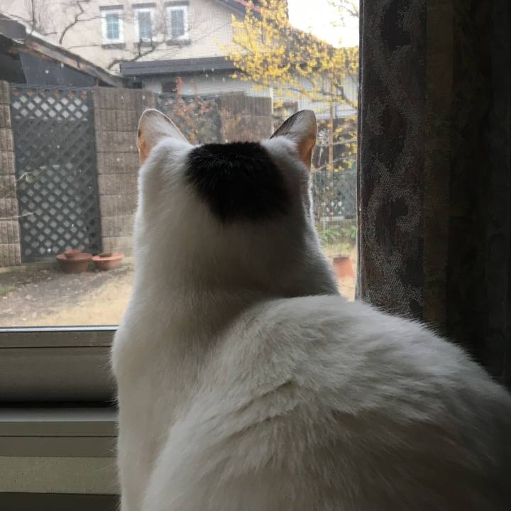 D115fa03 2782 410b addd 8c38a9ebf1cf 1516588141876