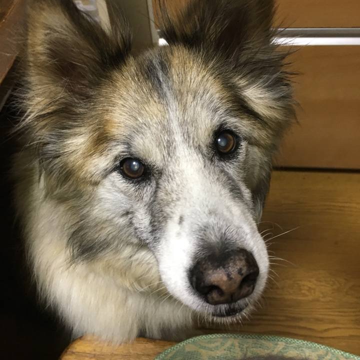 D1161967 6829 4b59 afe1 f435755083df 1511355749496