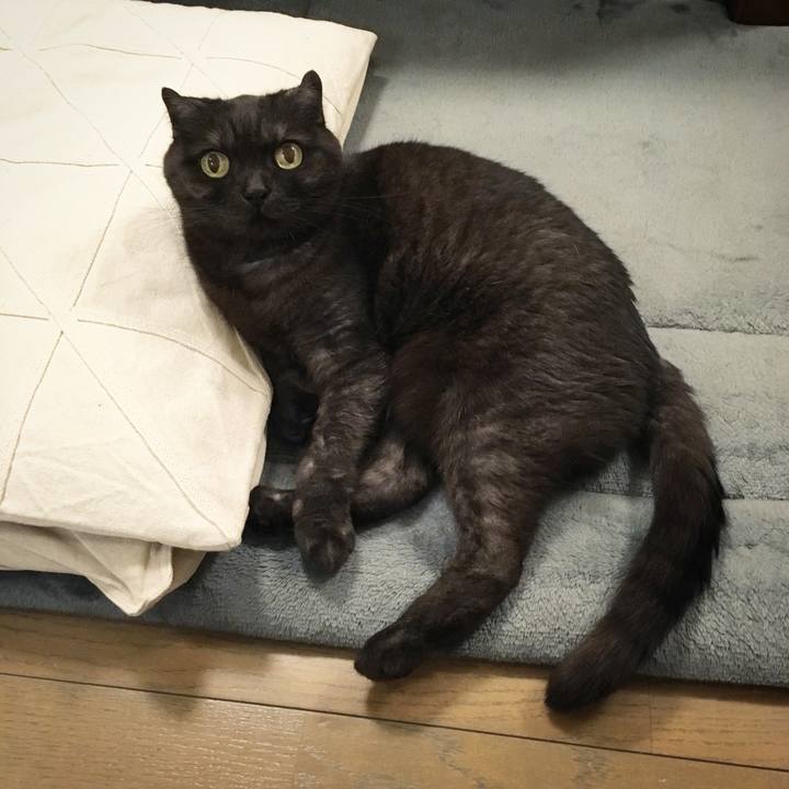 D1161e4d 4ed1 4302 b5af 9645cfb1737c 1559139487040