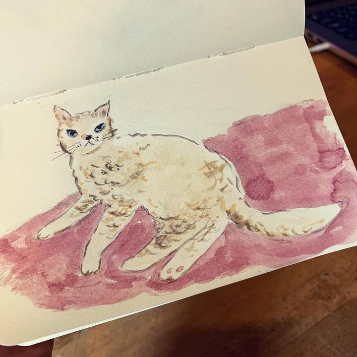 D1162c0d 7a18 4705 80b2 ab28c5a753e8 1644750148984