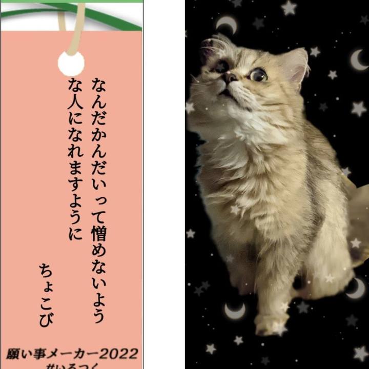 D1167de6 e7c2 4e2a b93b c37e02dcf9de 1657202760032