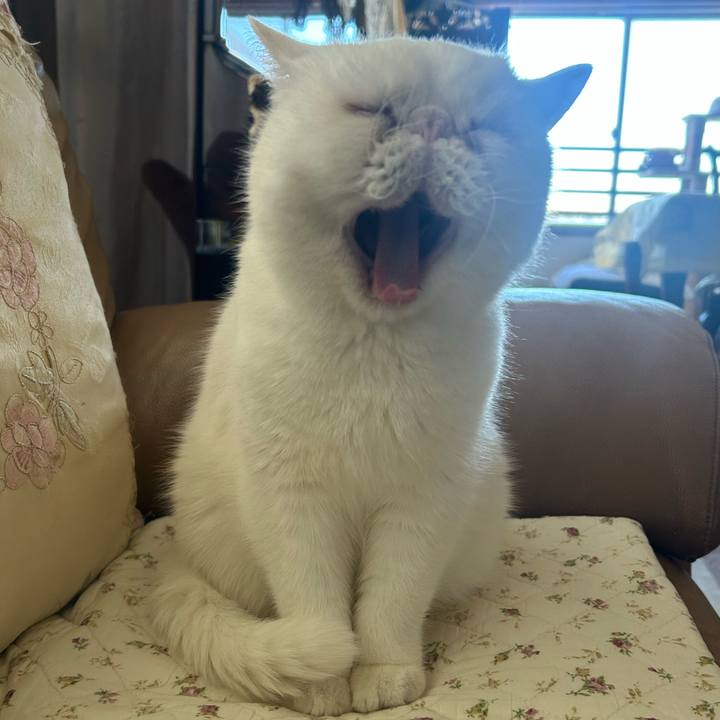 D116c39a eed0 4035 ab5e 7bf992c2d474 1735956812000